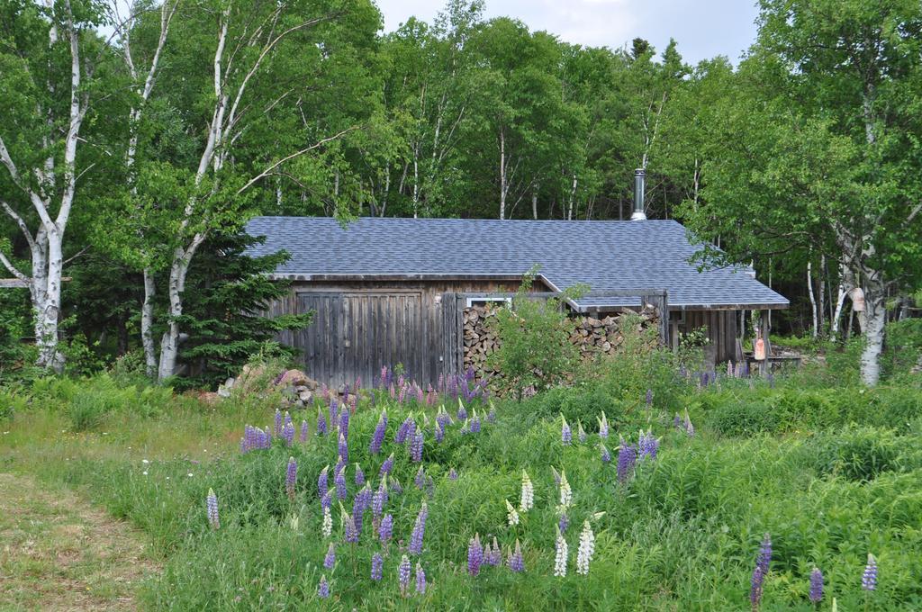 The Sleeping Moose Cottage Birch Plain Exterior foto